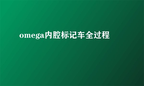 omega内腔标记车全过程