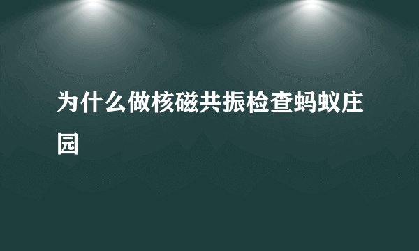 为什么做核磁共振检查蚂蚁庄园