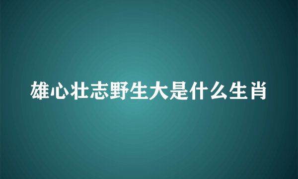 雄心壮志野生大是什么生肖