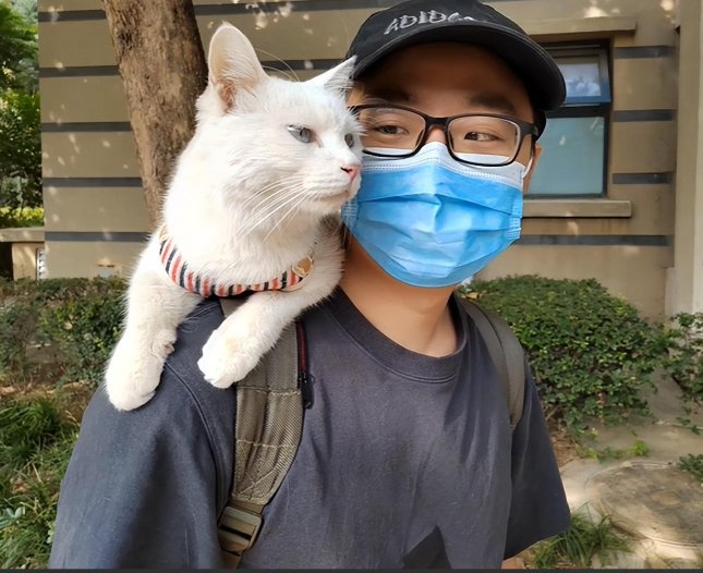 石家庄白猫在流浪10天后被找到了，这只猫究竟经历了什么？