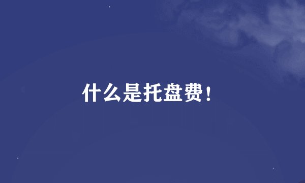 什么是托盘费！
