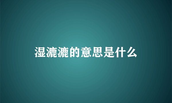 湿漉漉的意思是什么