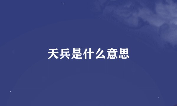 天兵是什么意思