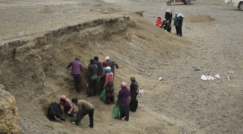 西藏夏达错遗址发现8000年前磨制石针,这一发现有何价值?