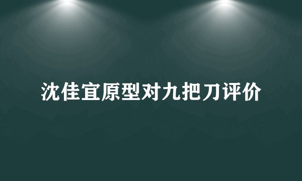 沈佳宜原型对九把刀评价