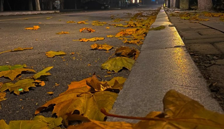 百分数中的100%是指什么意思？