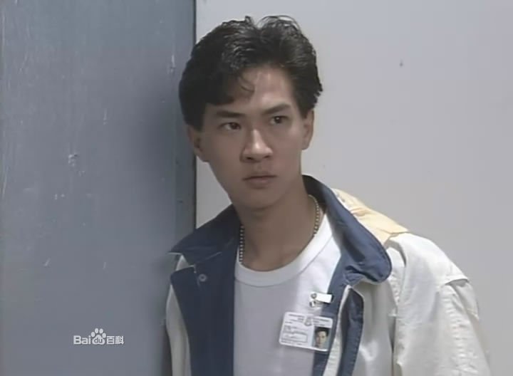 问一香港电视剧，上世纪九十年代播出的。讲述三个要好的男青年从警校毕业后的不同人生经历。