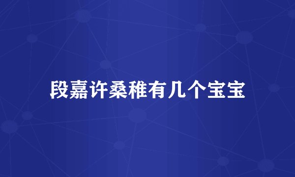 段嘉许桑稚有几个宝宝