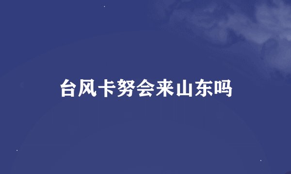 台风卡努会来山东吗
