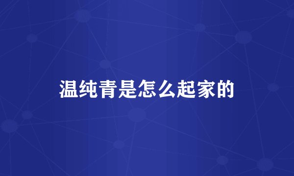温纯青是怎么起家的