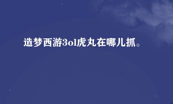 造梦西游3ol虎丸在哪儿抓。