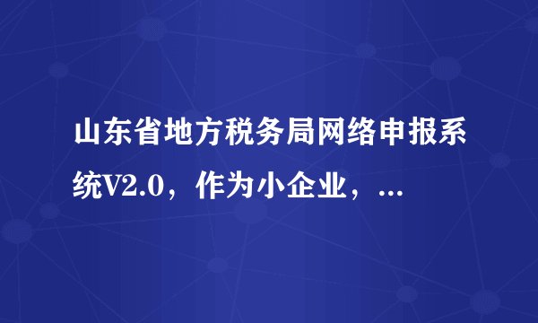 山东省地方税务局网络申报系统V2.0，作为小企业，所得税申报表该如何填写？要详细的，急求！
