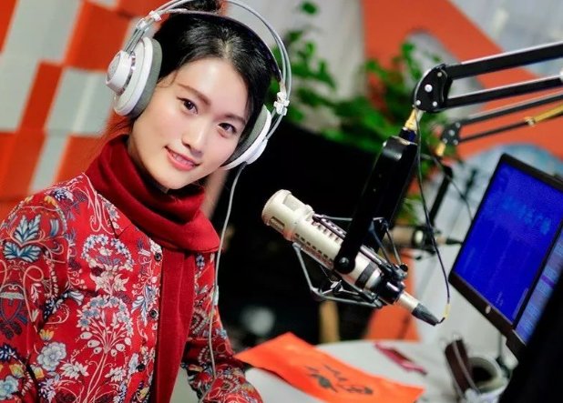 唱片骑师是什么？