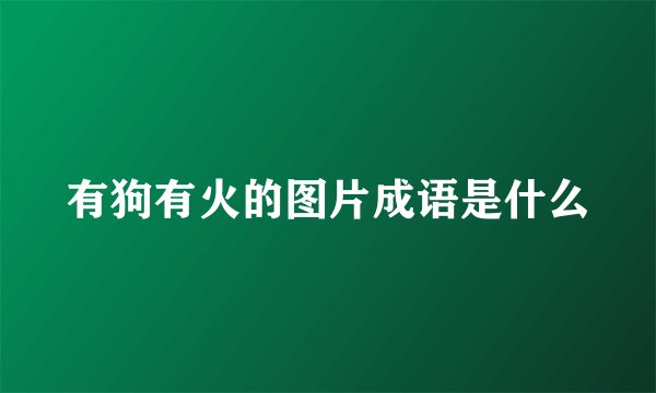 有狗有火的图片成语是什么