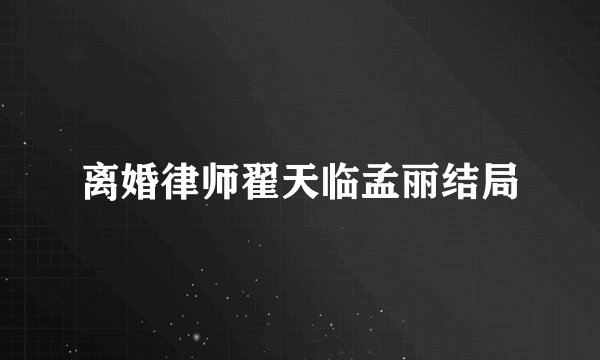 离婚律师翟天临孟丽结局