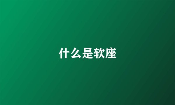 什么是软座
