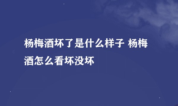 杨梅酒坏了是什么样子 杨梅酒怎么看坏没坏
