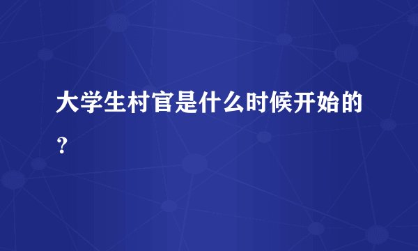 大学生村官是什么时候开始的？