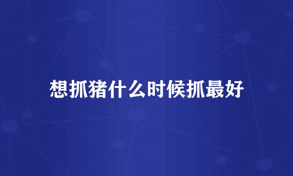 想抓猪什么时候抓最好