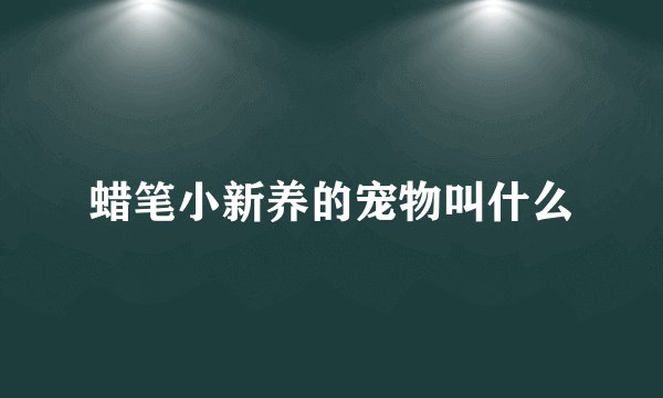 蜡笔小新养的宠物叫什么