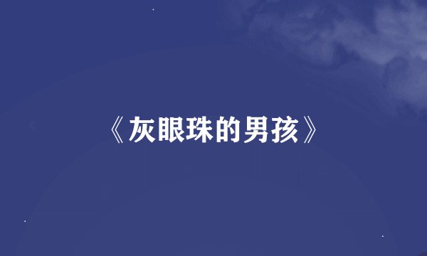《灰眼珠的男孩》