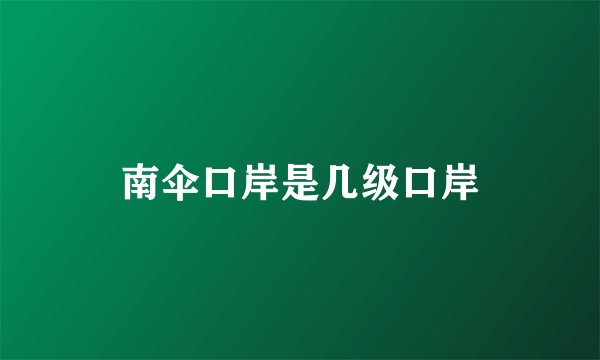 南伞口岸是几级口岸