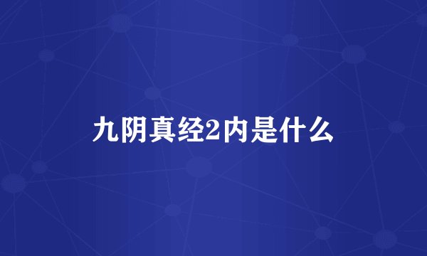 九阴真经2内是什么
