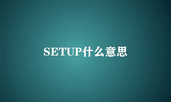 SETUP什么意思