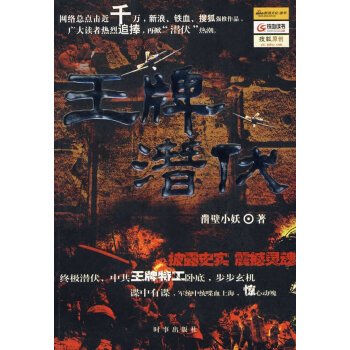 王牌潜伏的作者简介