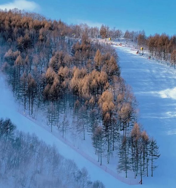 滑雪场一般有哪几种雪道？有什么区别和特点