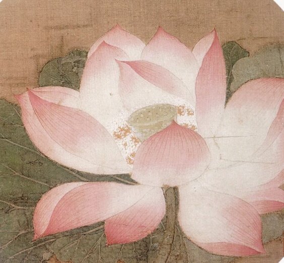 “可爱者甚蕃”中的“蕃”是什么意思？