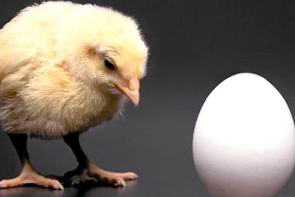 生活中简单悖论的例子