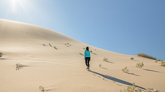 敦煌防护林被破坏,人民日报是如何评价的?