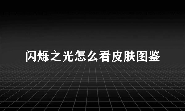 闪烁之光怎么看皮肤图鉴