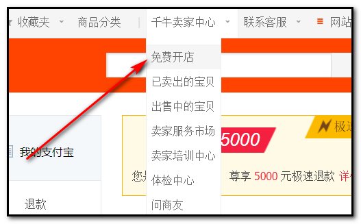 怎样在淘宝开旅游网店