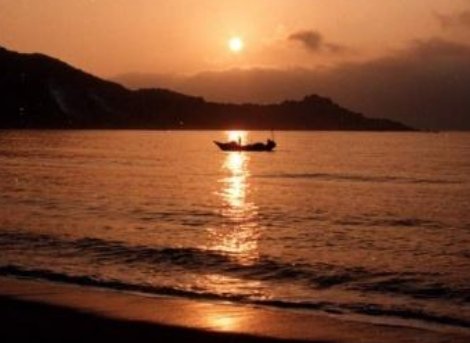 有土可种菜苗，有水可养鱼虾，有人不是你我（猜一字）