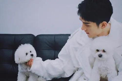 媒体评李佳琦参选人大代表，你觉得他有资格参选人大代表吗？