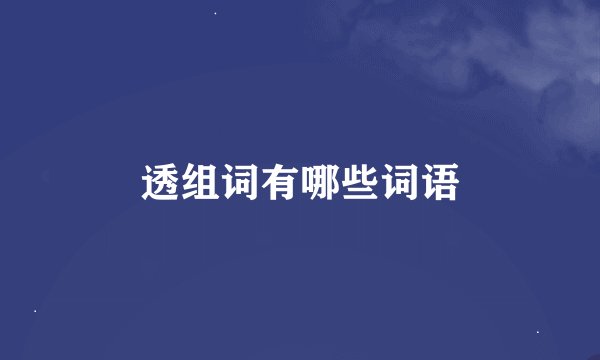 透组词有哪些词语