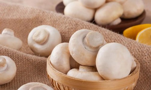 口蘑中的口字源于哪儿