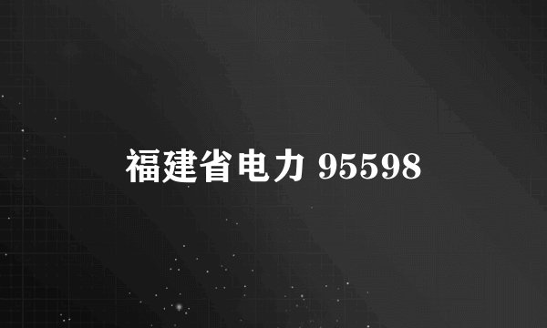 福建省电力 95598