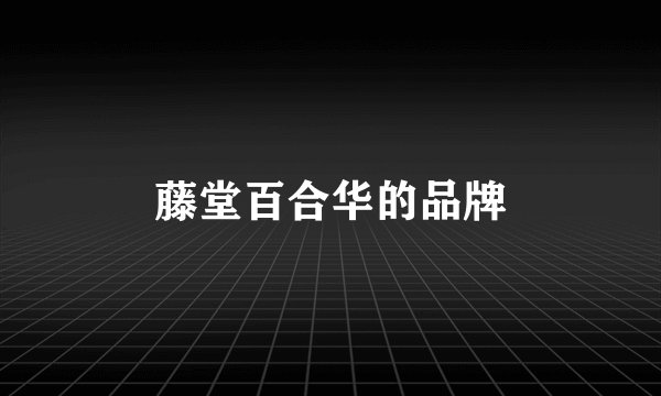 藤堂百合华的品牌