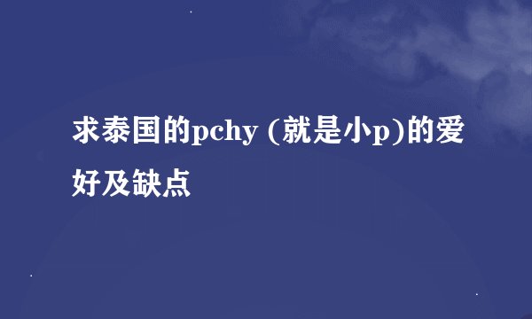 求泰国的pchy (就是小p)的爱好及缺点