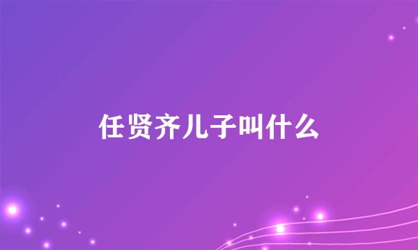 任贤齐儿子叫什么