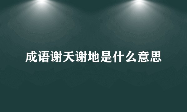 成语谢天谢地是什么意思