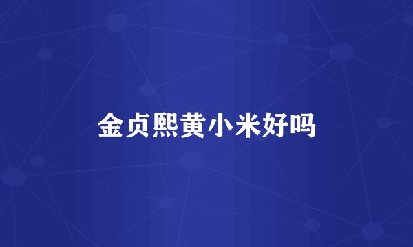 金贞熙黄小米好吗