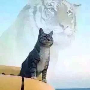 秦王暗点兵的解法