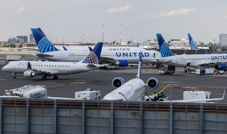 美国一航班上惊现活蛇，乘客尖叫连连，遇到蛇应该怎样自保呢？