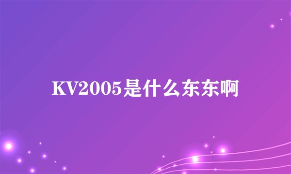 KV2005是什么东东啊