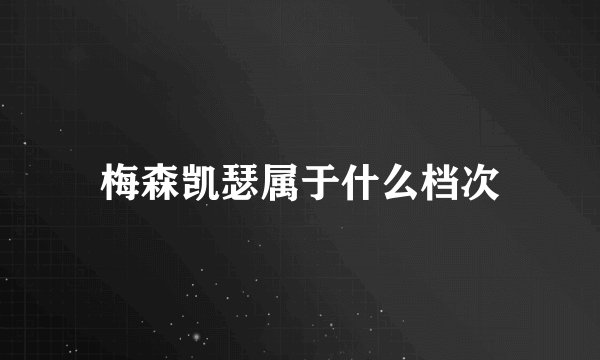 梅森凯瑟属于什么档次