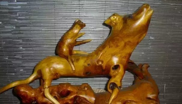 请问做根艺如何防止树根开裂?